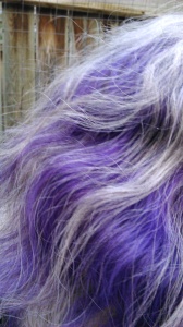 Picture of purple and grey hair.